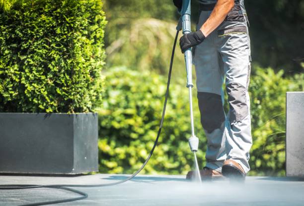Best Sidewalk and Walkway Cleaning  in Bishop, CA