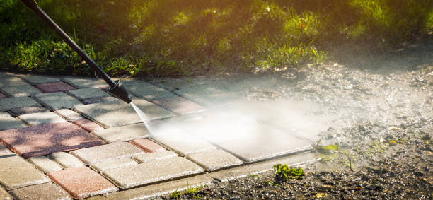 Best Animal Enclosure Cleaning  in Bishop, CA